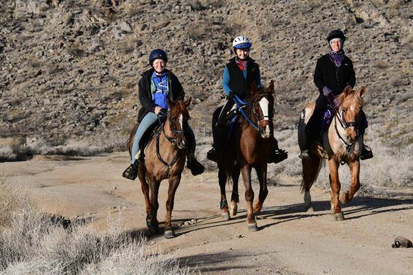 15826110_10100102051774496_8614838932256562576_n