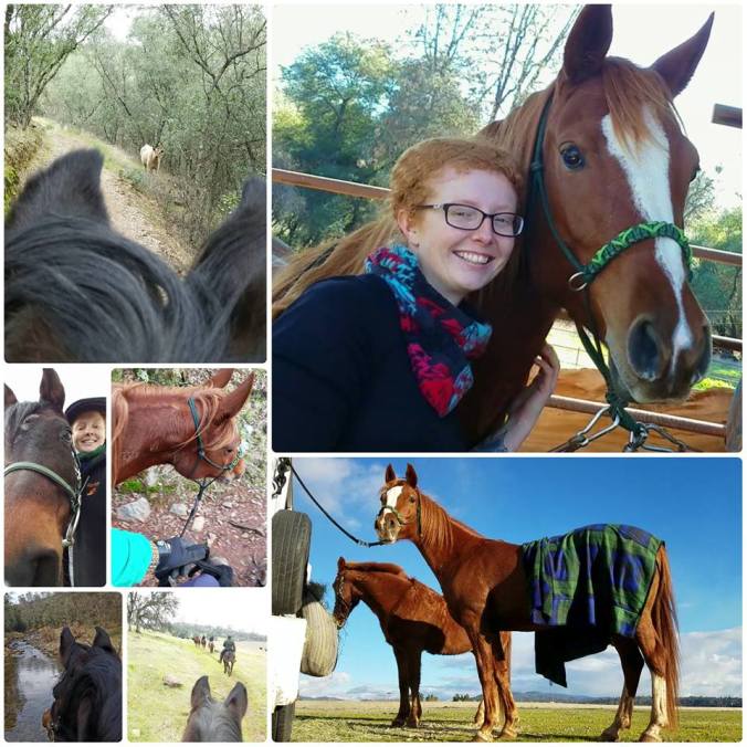 16808725_10100119850879946_1683446385_n