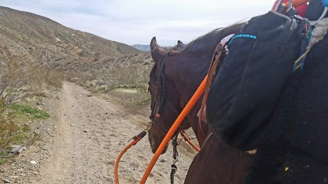 17078420_10100123865135346_85847532_n