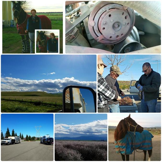 17093986_10100123840125466_1863691478_n