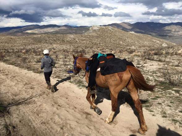 FB_IMG_1489965542129[1]