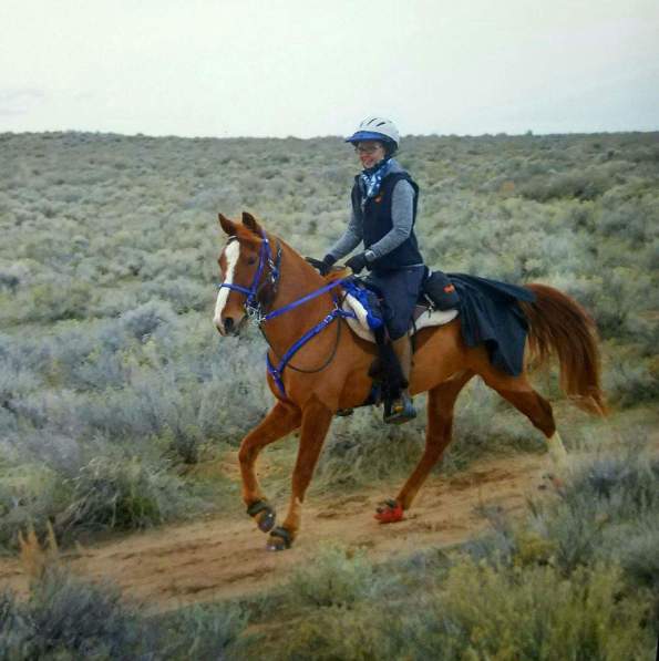 FB_IMG_1490133357349[1]