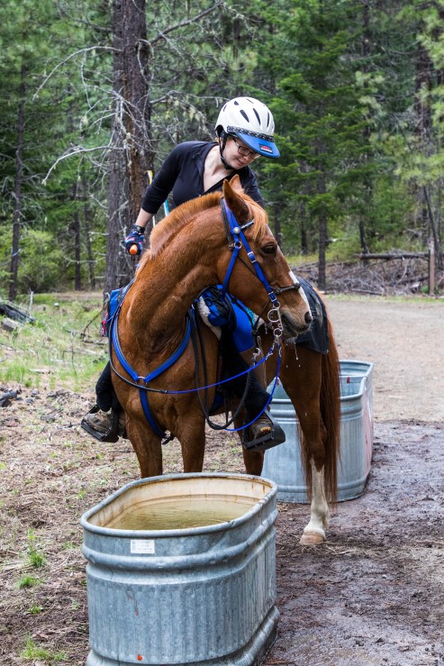 71750958-mt-adams-endurance-ride-05-20-17_0900