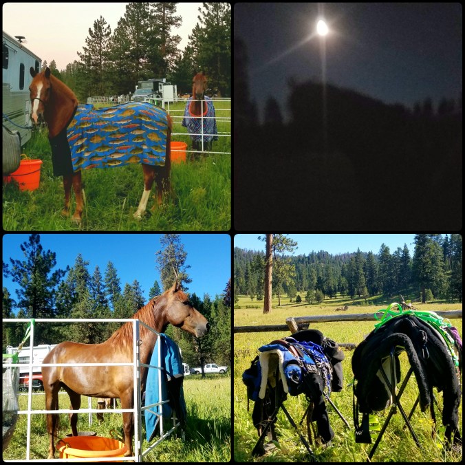 PhotoGrid_1500007906760[1]