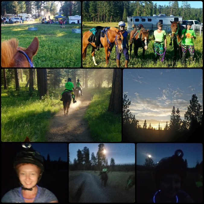 PhotoGrid_1500008350905[1]