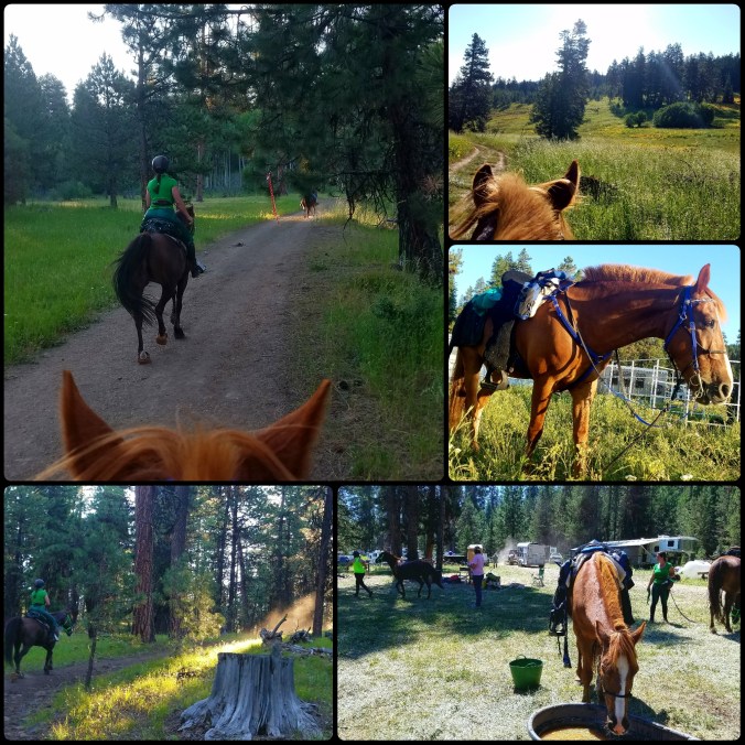 PhotoGrid_1500078221382[1]