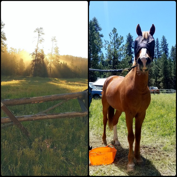 PhotoGrid_1500078250535[2]