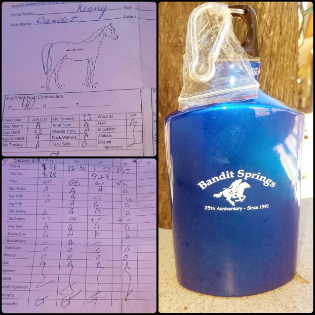 PhotoGrid_1500137445475[1]