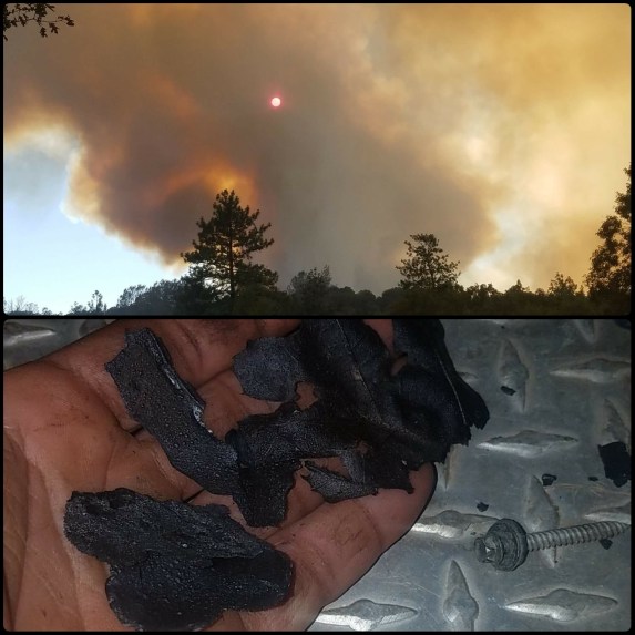 PhotoGrid_1500139640491[1]