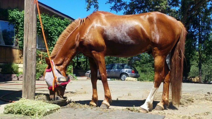 PhotoGrid_1500140302723[1]