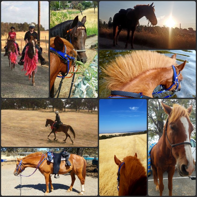 PhotoGrid_1506350356213