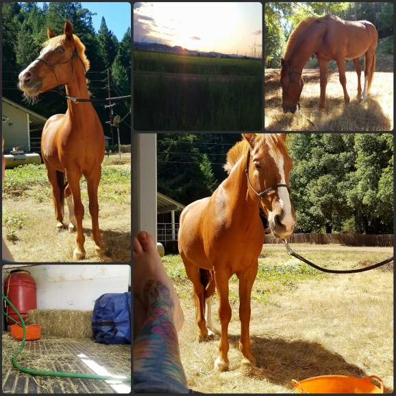 PhotoGrid_1506358190181[1]