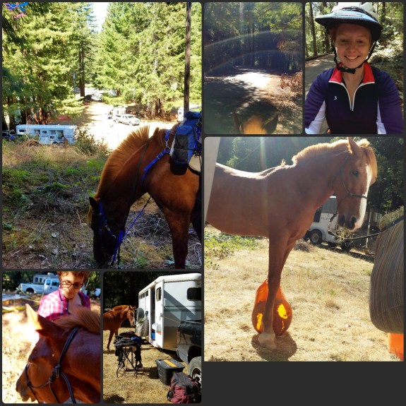 PhotoGrid_1506358319788[1]