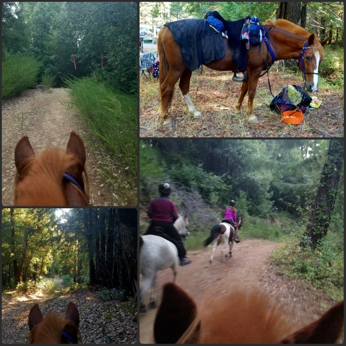 PhotoGrid_1506360182280