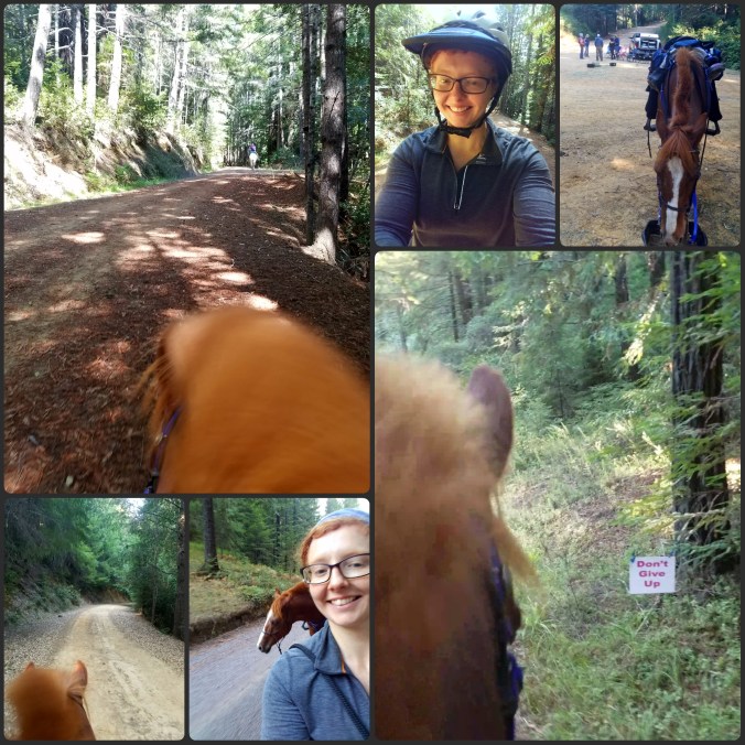 PhotoGrid_1506360365286