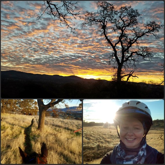 PhotoGrid_1512349805511[2]