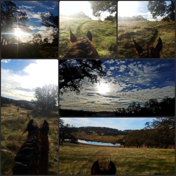 PhotoGrid_1512349949482[1]