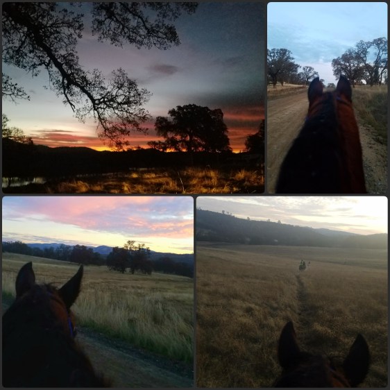 PhotoGrid_1512350140891[1]