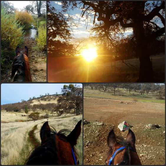 PhotoGrid_1512350474896[1]