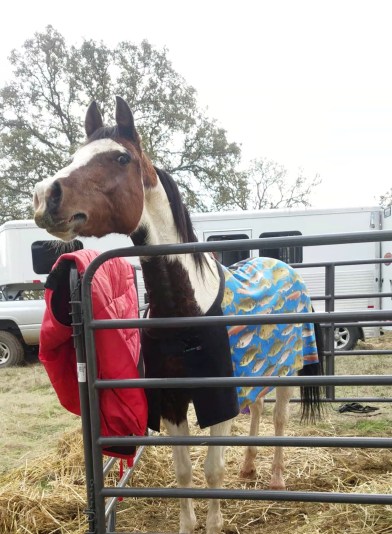 PhotoGrid_1512352218201[1]