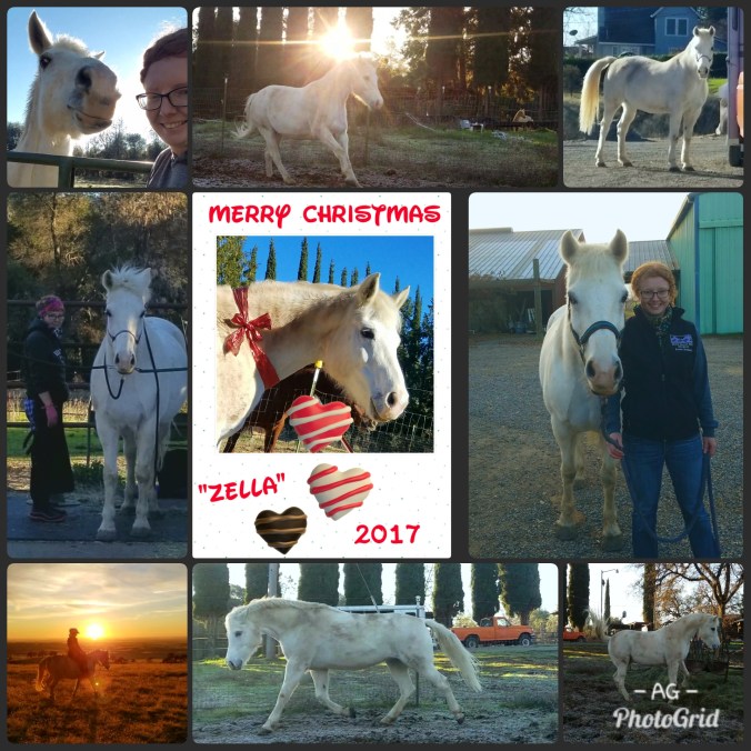 PhotoGrid_1514046458030[1]