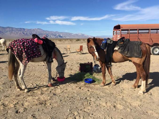 FB_IMG_1514994422787