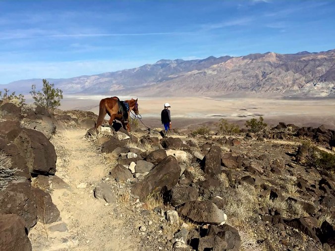 FB_IMG_1515107925345