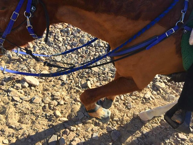 FB_IMG_1515108010739