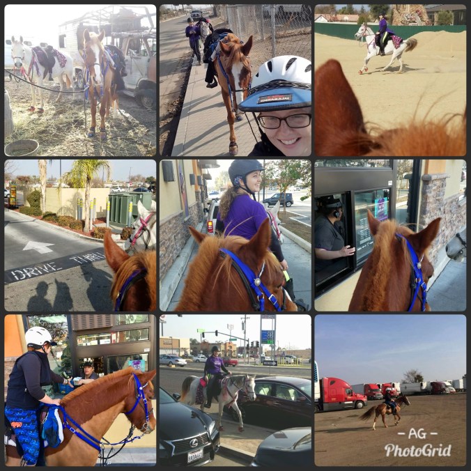 PhotoGrid_1514993596055[1]