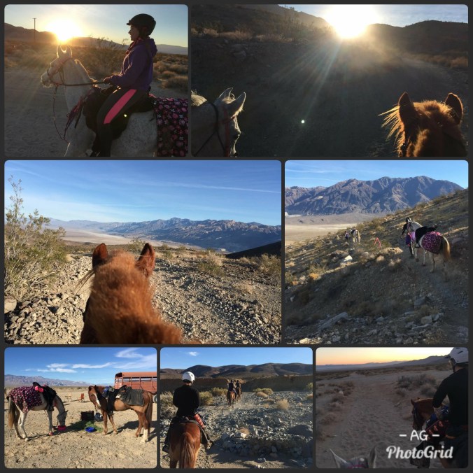 PhotoGrid_1514994532529[2]