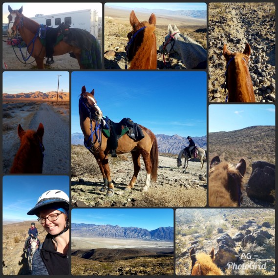 PhotoGrid_1514996245697[1]