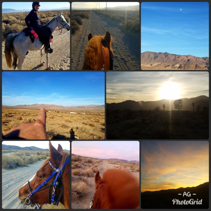 PhotoGrid_1514996862164[1]