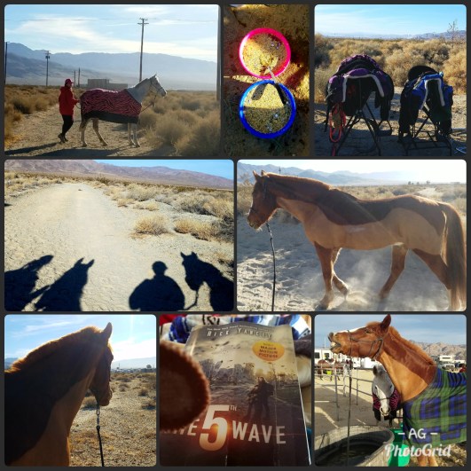 PhotoGrid_1514997319953[1]