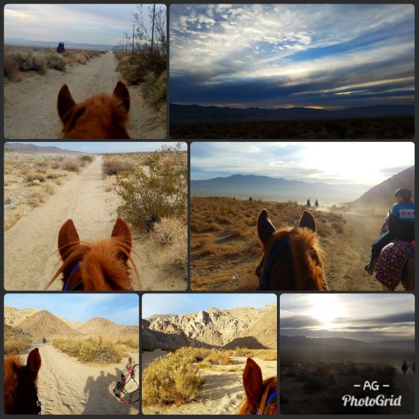 PhotoGrid_1514997870500[1]