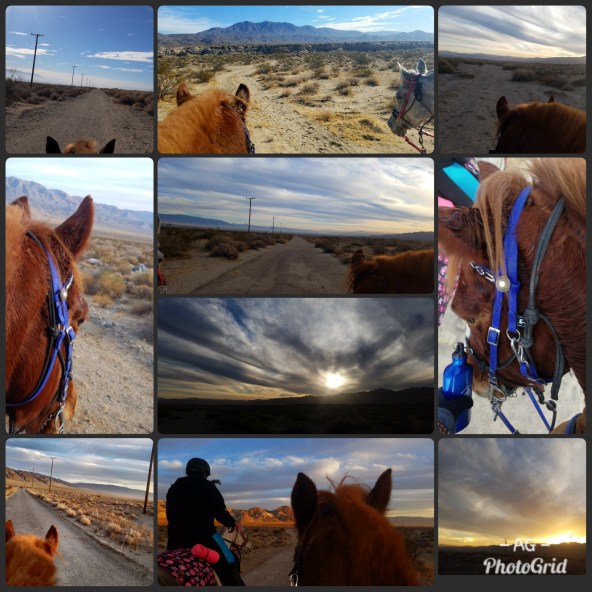 PhotoGrid_1514998113357[1]