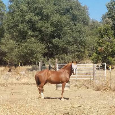 42168973_10100283131903466_1090042702357069824_n