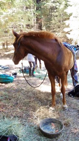 42335357_10100283930368336_5471451205941067776_n