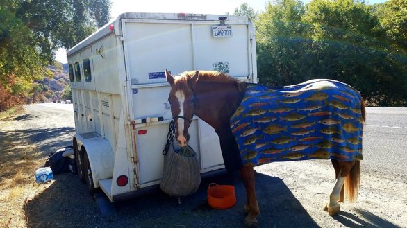 42368336_10100283920792526_2819605944894226432_n