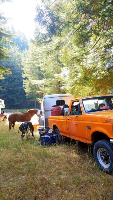 42373996_10100283929944186_5847981922105425920_n