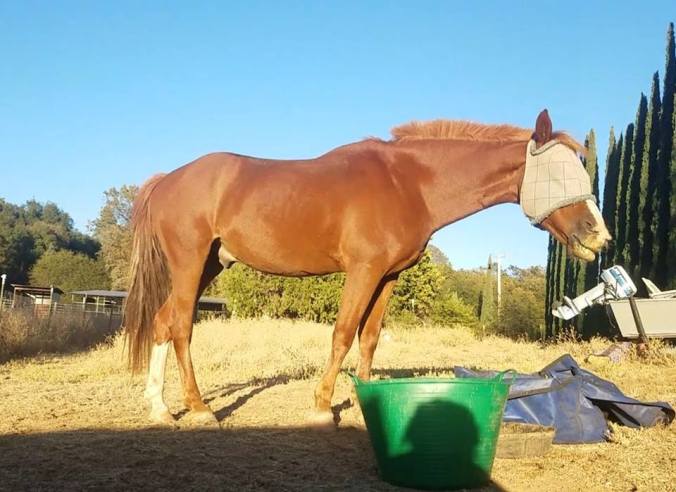 42440940_10100284249518756_3897891462041305088_n