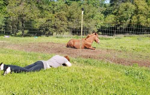 58381961_10100330483520446_1336235772566568960_n