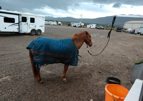 61114045_320438028892258_2056546928212049920_n