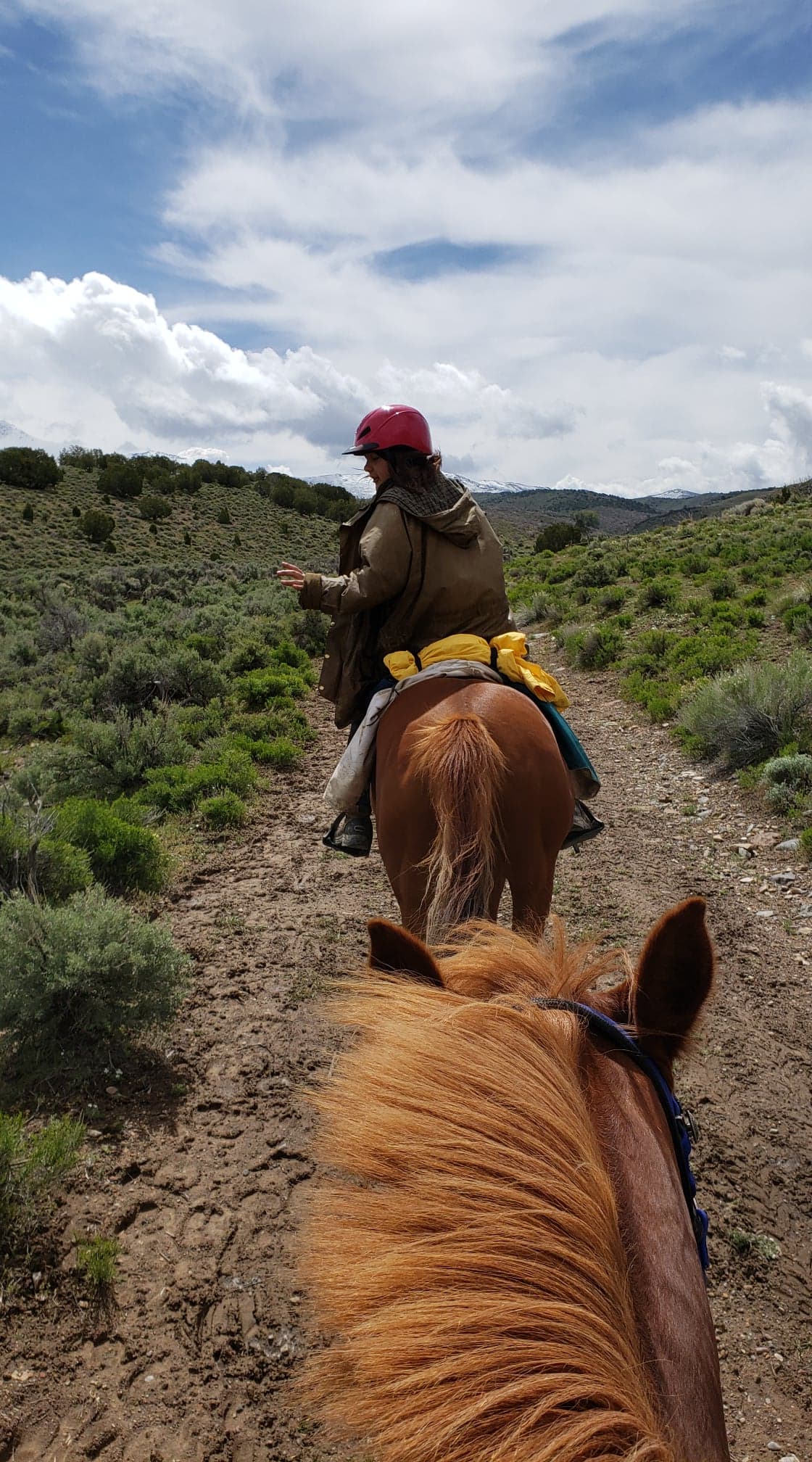 61136510_816262515408590_7869211506041159680_n