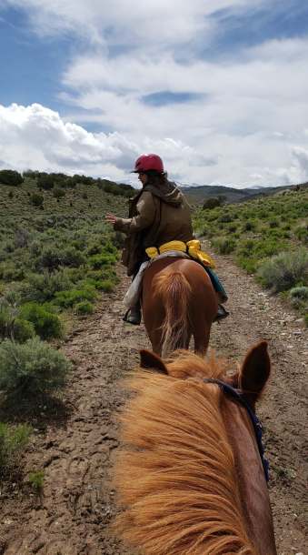 61136510_816262515408590_7869211506041159680_n