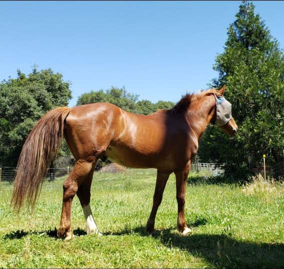 61203143_2271722242904125_3344807452225830912_n