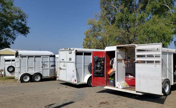 61264174_686850068405712_7608817040568090624_n