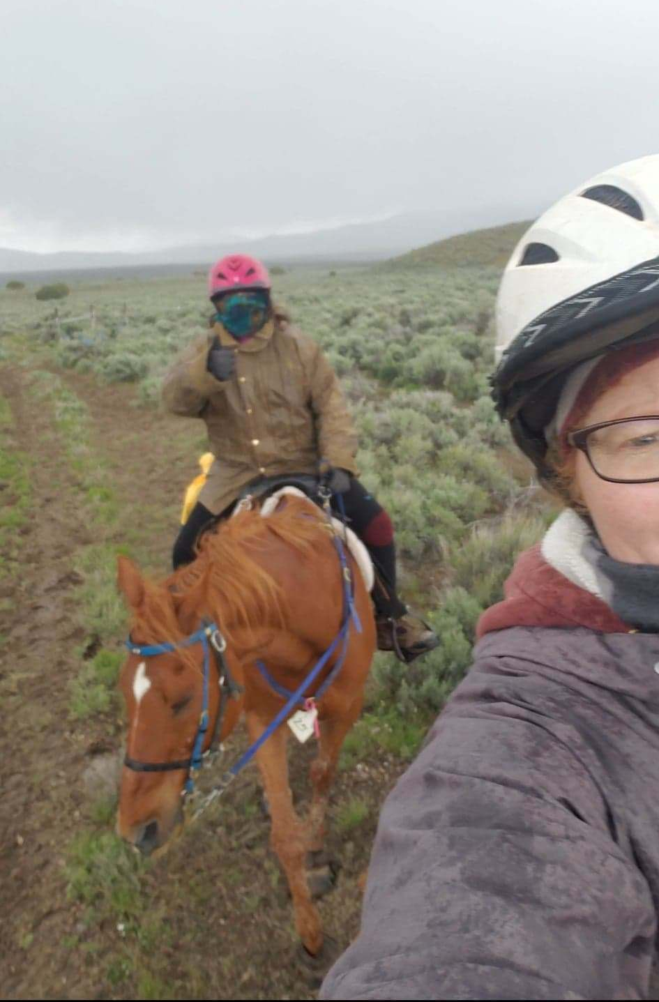 61379009_2037883846310350_6486943888903766016_n