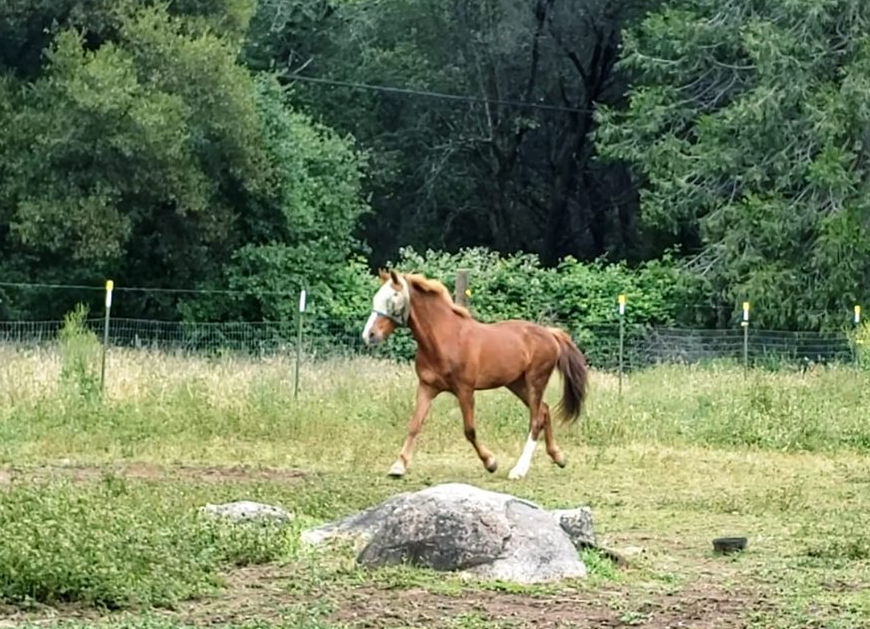 61587057_10100337843630726_2246453468459958272_n