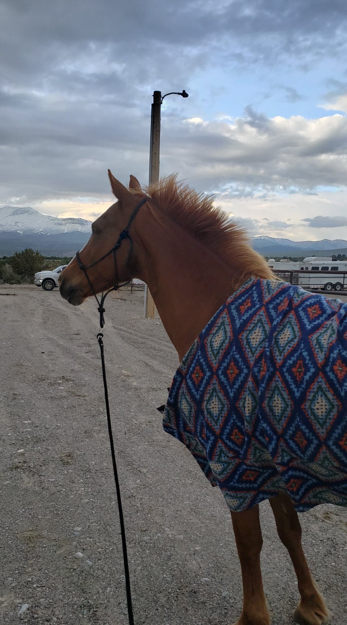 61970260_1161992033981648_5688588848162930688_n