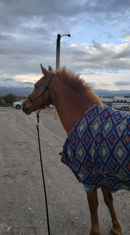 61970260_1161992033981648_5688588848162930688_n